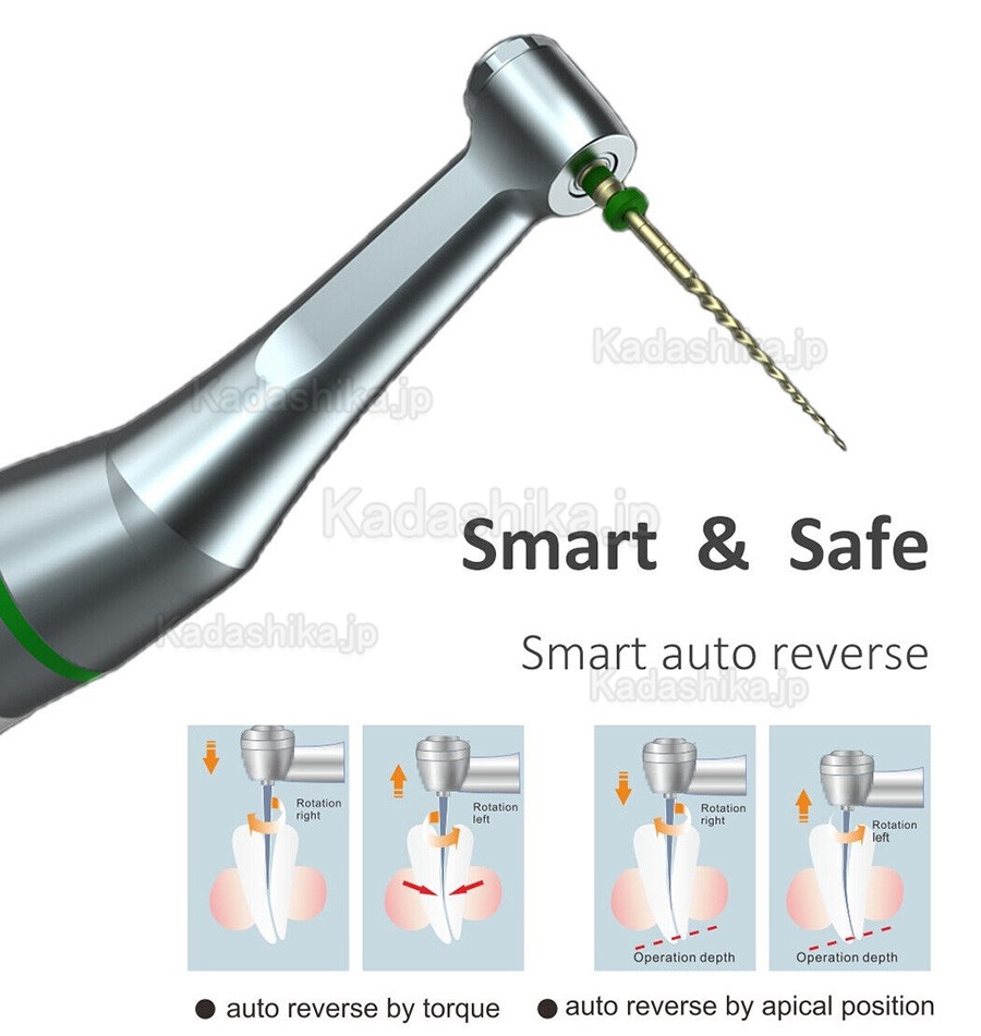 COXO C-smart mini AP 根管長測定機能付きエンド用モーター